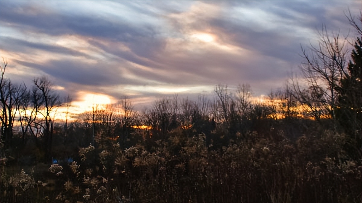 十首超好听的美文歌曲,最流行的歌曲美文