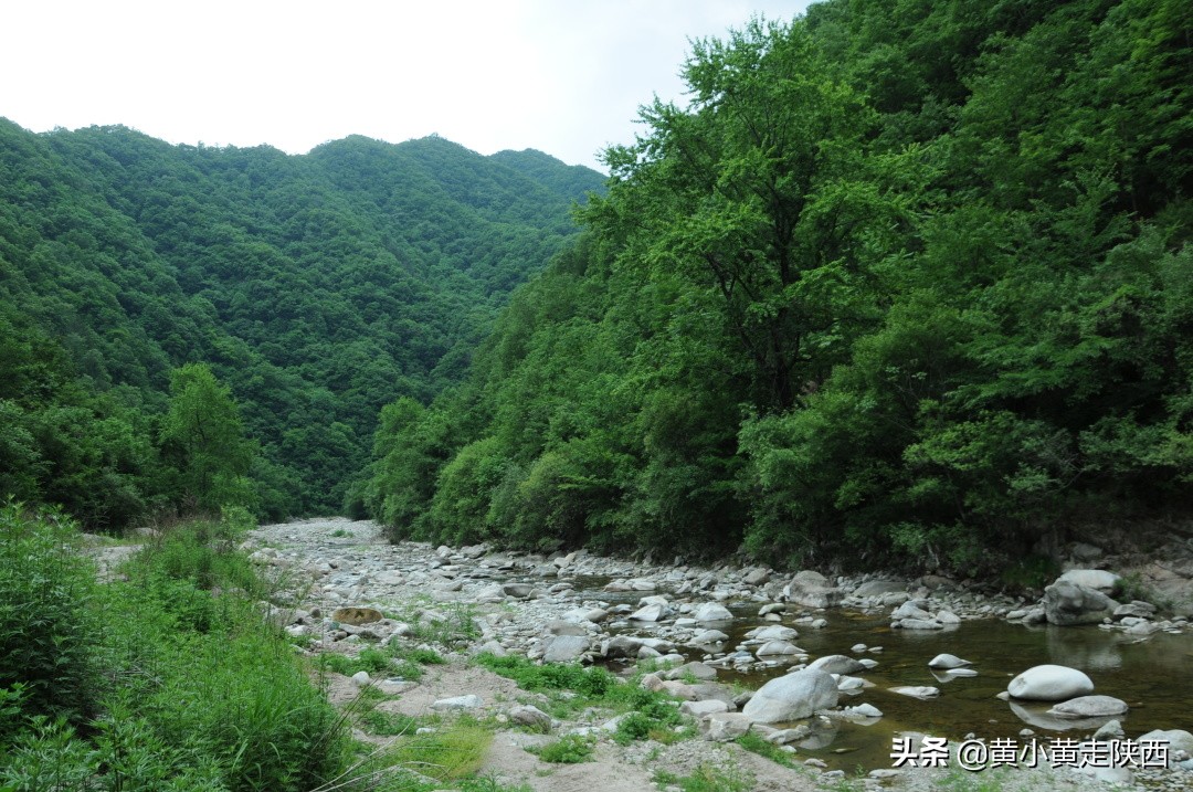 西安秦岭沣峪口夏季避暑去处,西安秦岭沣峪口附近哪里凉快