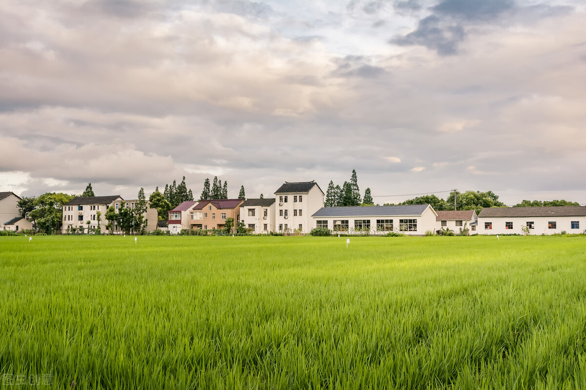 事业编制户口在村里能享受待遇吗,在编人员土地征用如何获取补偿