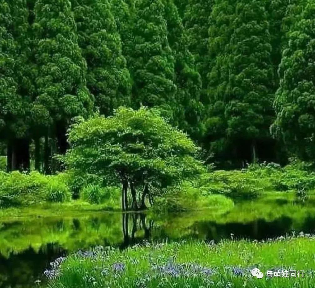 培训班跟不上怎么办,暑期培训没学完怎么办