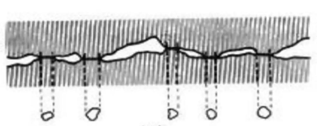 抗原检测的工作原理是什么？|No.341