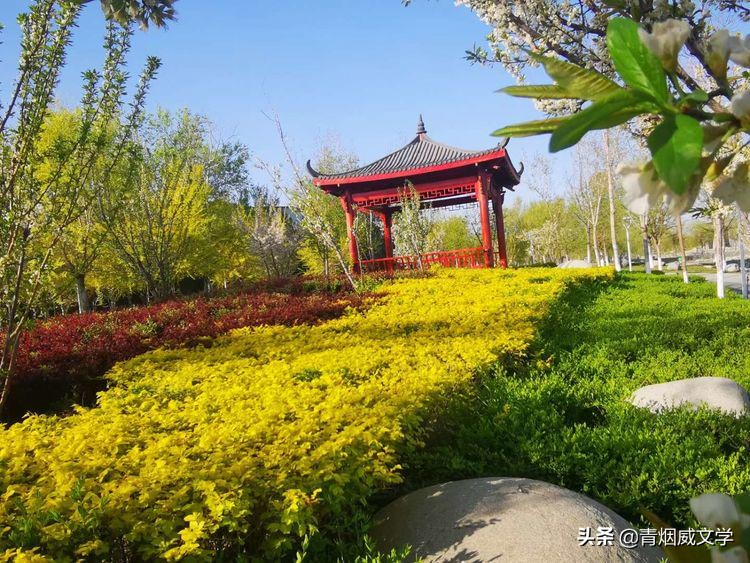 七绝梅花吟五首,秋天河边杨柳七绝