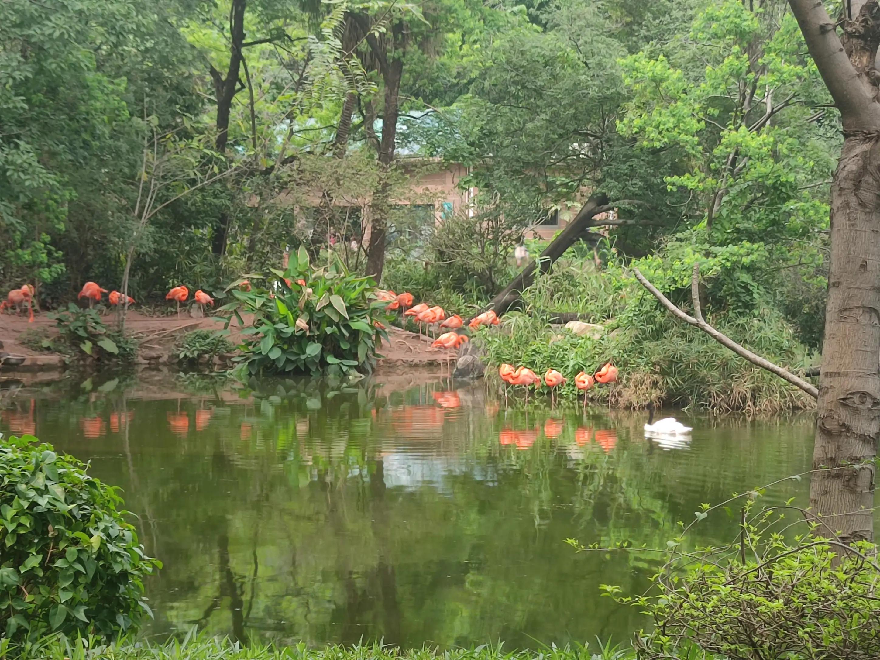 朋友圈结婚文案高级感,朋友圈结婚文案