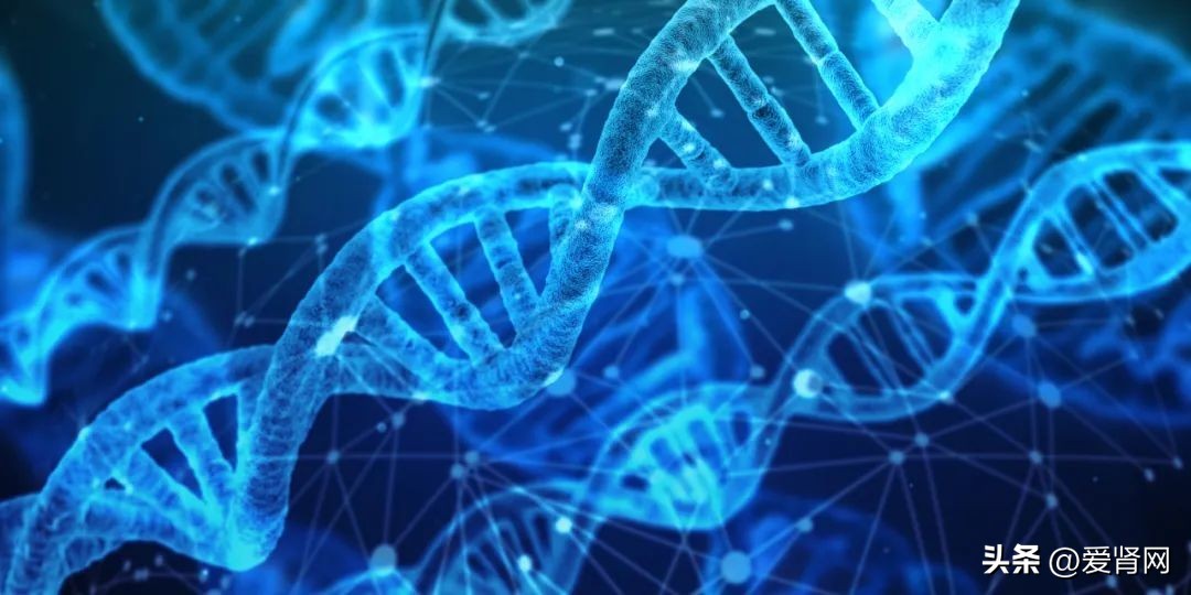 做好这六点让老年人远离肾脏疾病,掌握4个小技巧预防肾病找上门