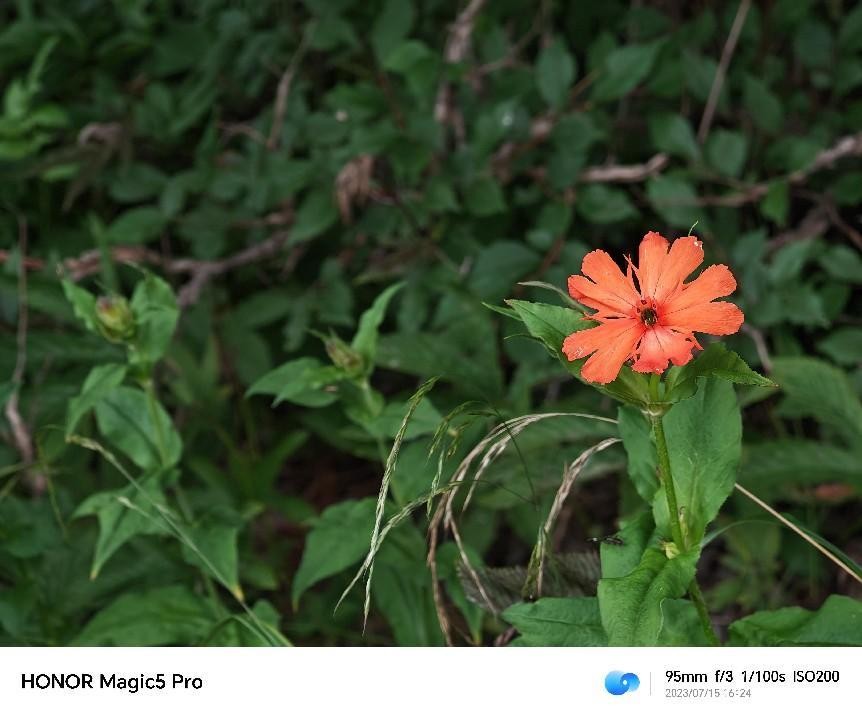 荣耀magic5pro玩王者画面很大,荣耀magic5pro拍照有舞台光功效吗