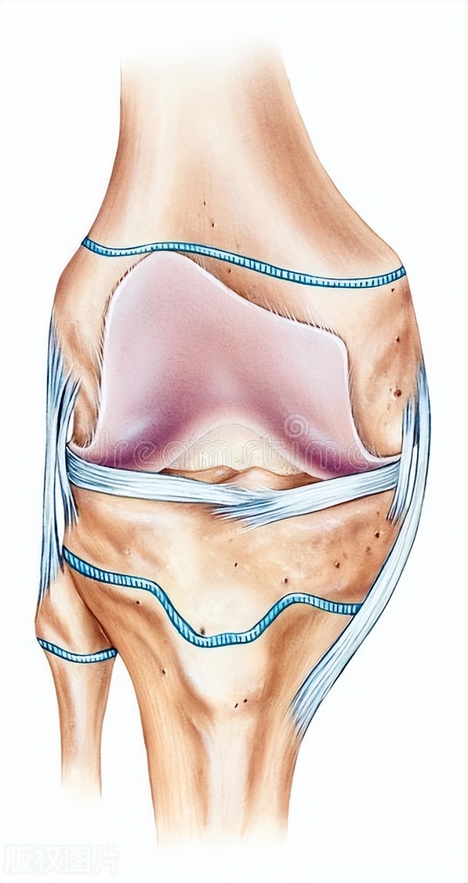 16岁男孩骨骺线没闭合还能长高吗,16岁男孩骨骺线闭合能长高吗