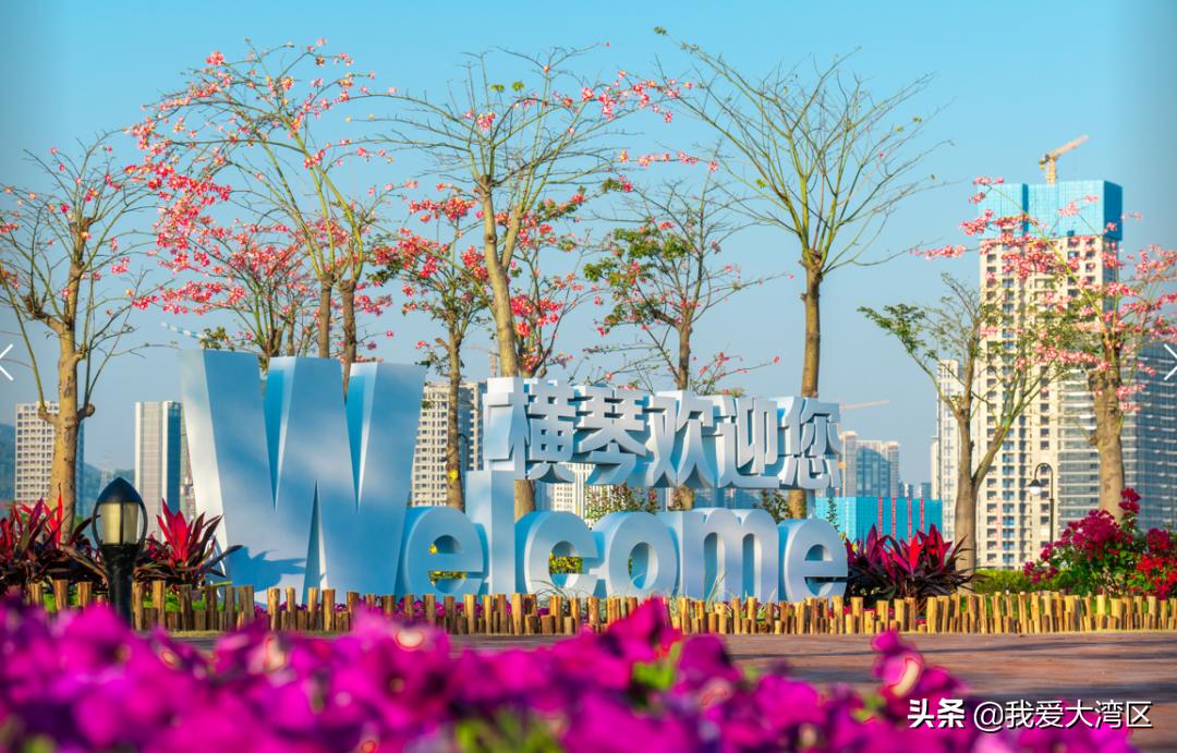 珠海春游赏花,珠海周边踏青景点