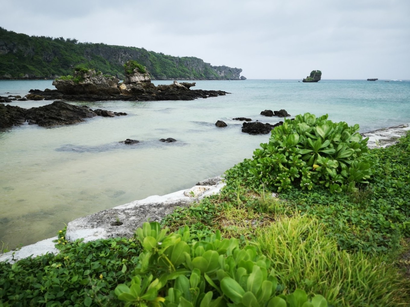 暑期档2019年,2019年暑期档