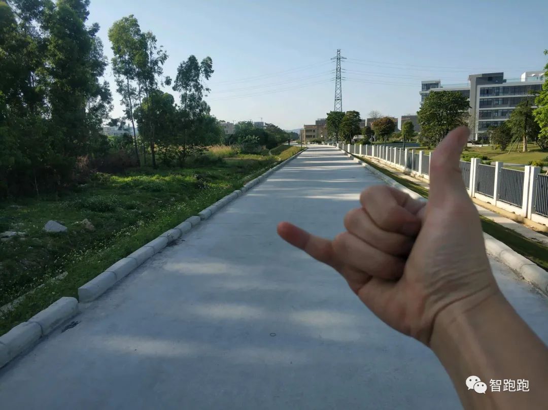 家庭自制章鱼小丸子,自制章鱼小丸子的做法步骤图