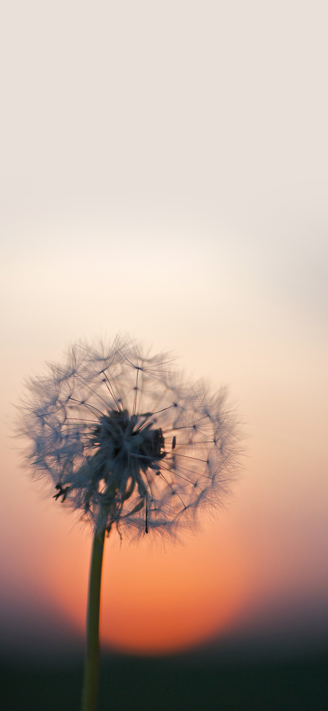 绝美高清手机壁纸唯美,绝美动漫手机壁纸高清