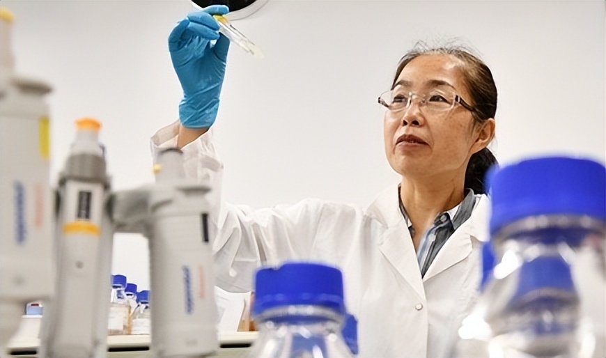 拉链式创可贴多长时间可以愈合,免缝合创可贴什么时候可以用