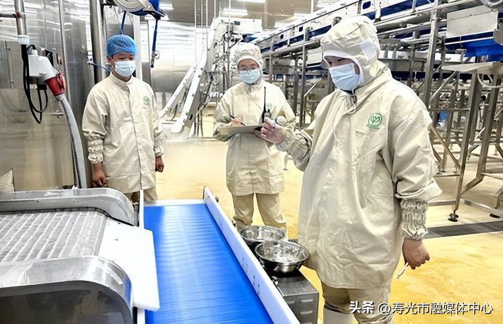 世界500强公司真实案例,世界500强企业排行山东