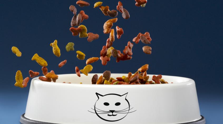 猫粮品尝师是干什么的,猫粮品尝师招聘