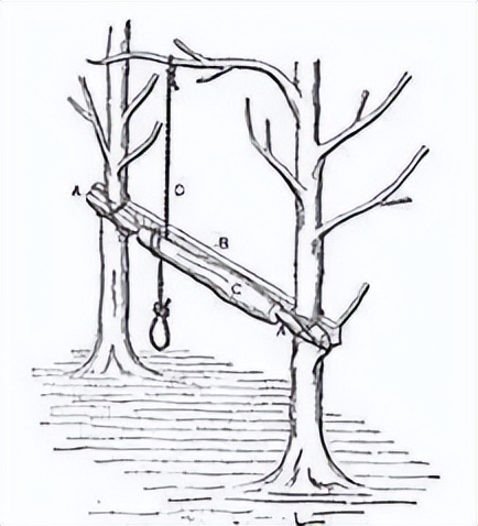 车床的原理是什么,普通车床是什么车床