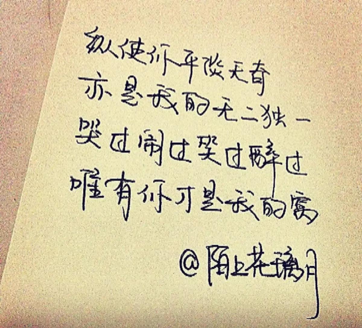 那纷纷扬扬的花瓣犹如万千飞碟，在蓝天下飞扬着翩跹的舞姿