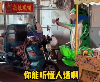 16岁卖青蛙,创业摆摊卖青蛙