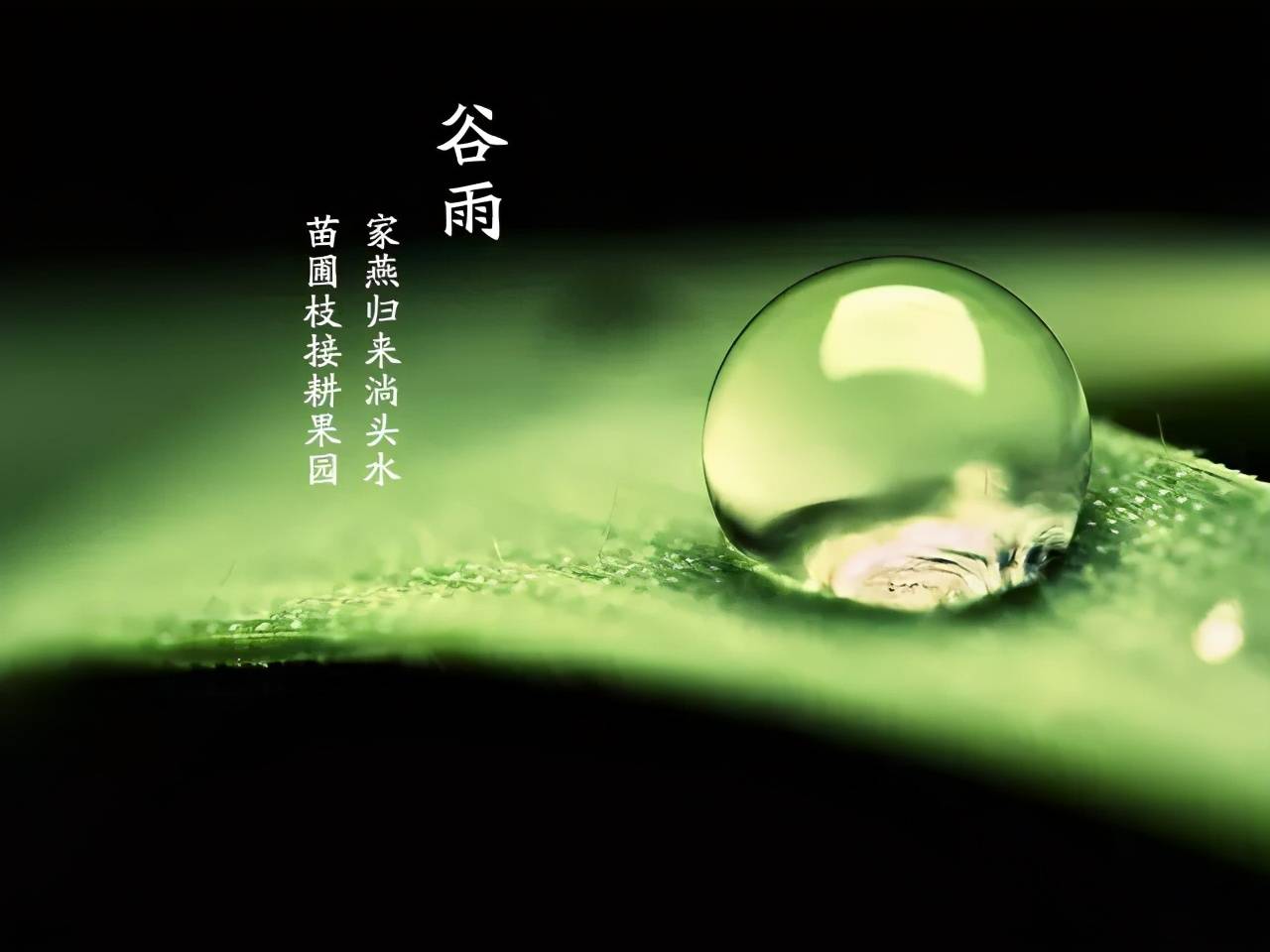 十首谷雨诗词留住最后一抹春色,古诗词名句网谷雨十首最美诗词