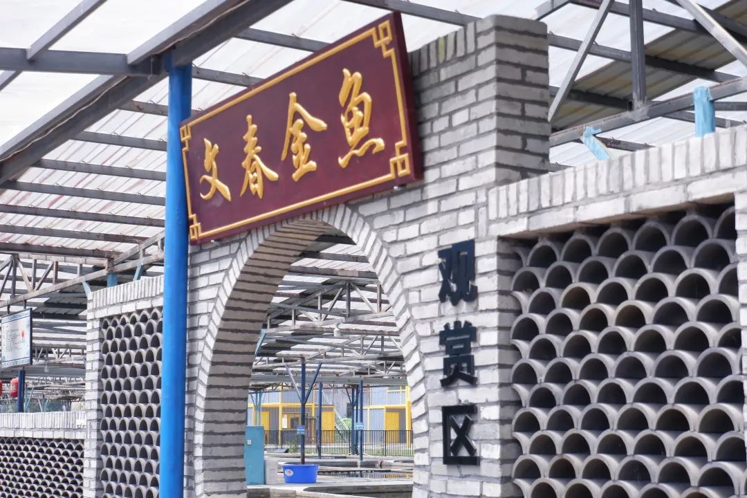 月游闽侯│七月-塘里洋里春园鲤,沉浸闽侯清凉里!