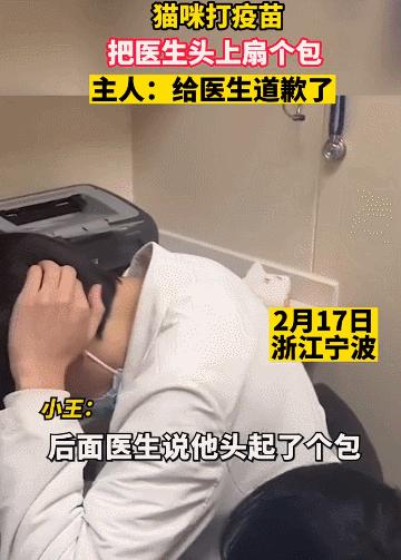 公猫出去一天一夜了都没回家,公猫出去三天没回来了