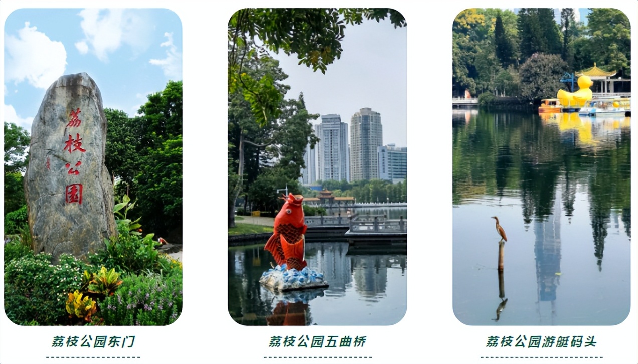 深圳市荔枝公园一日游,深圳2天1夜旅行攻略