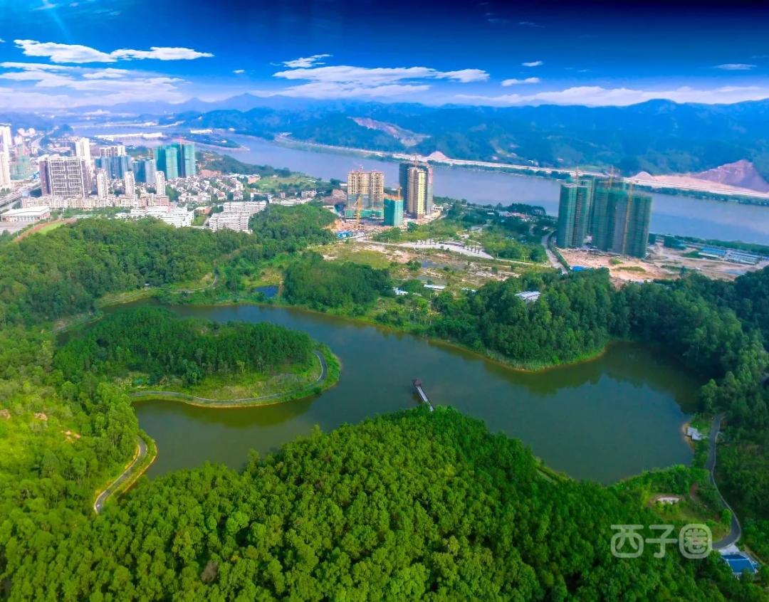 惠州十大绿道景点,惠州绿道好去处推荐