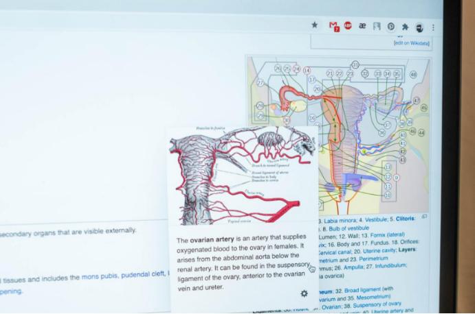 子宫内膜息肉电切后多久移植冻胚,子宫内膜到多少适合冻胚移植