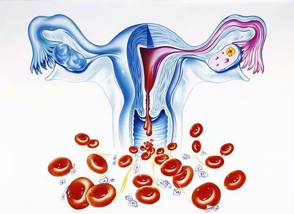 短效避孕药只能避孕？不，还能治疗这么多疾病