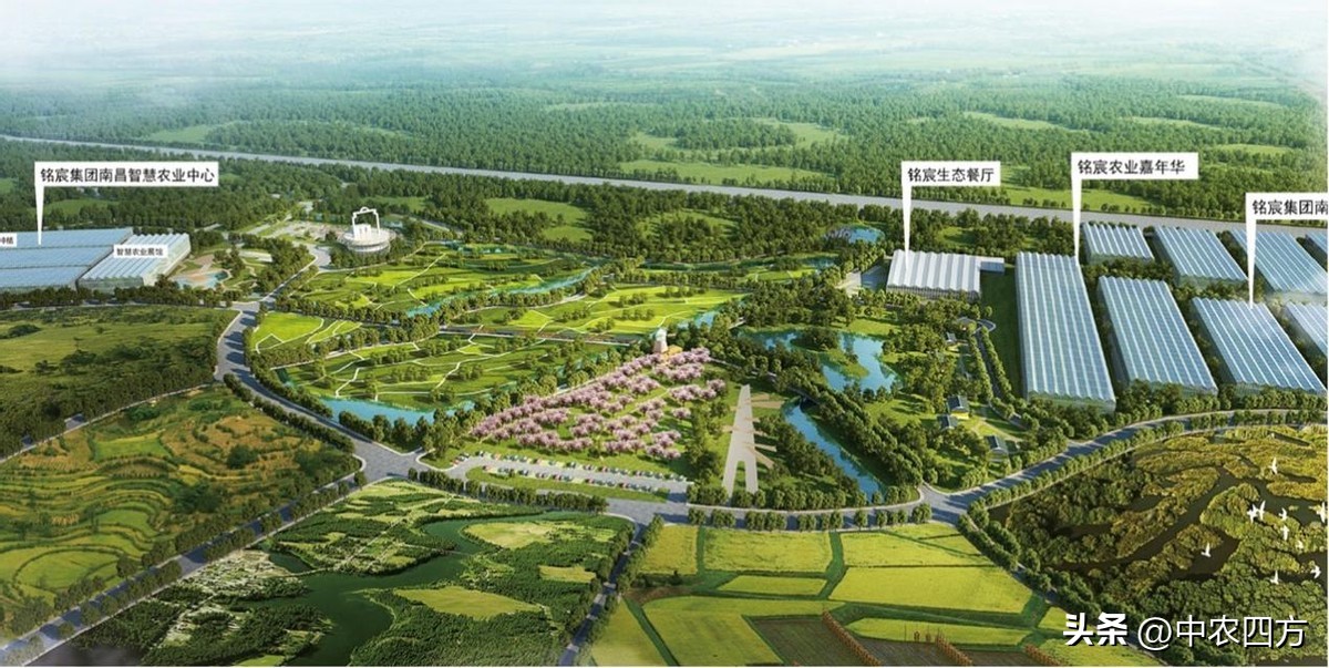 乡村振兴最新土地政策与拿地要点,乡村振兴产业规划2020-2035