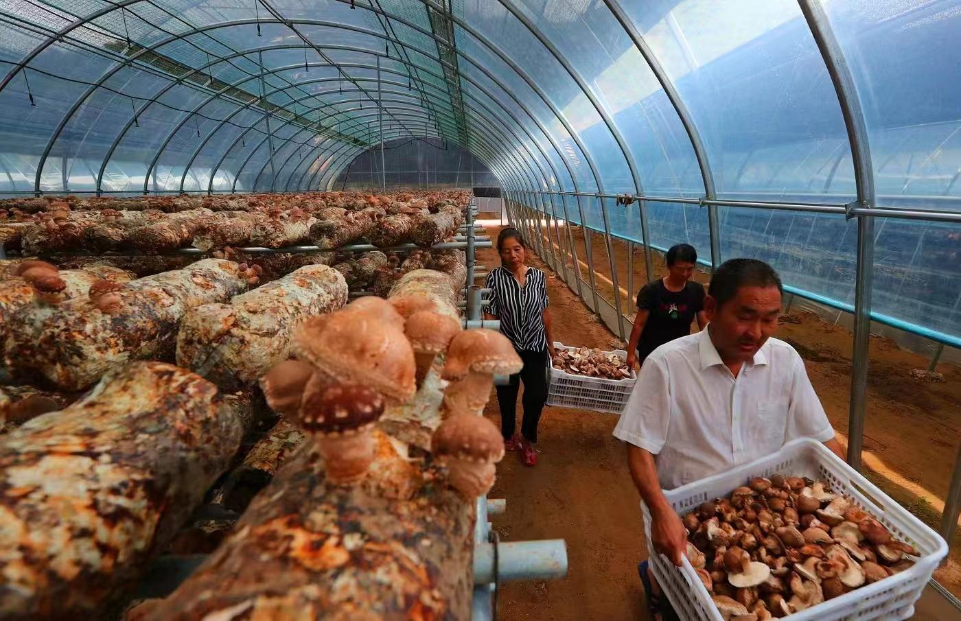 延安志丹最新规划,延安志丹视频