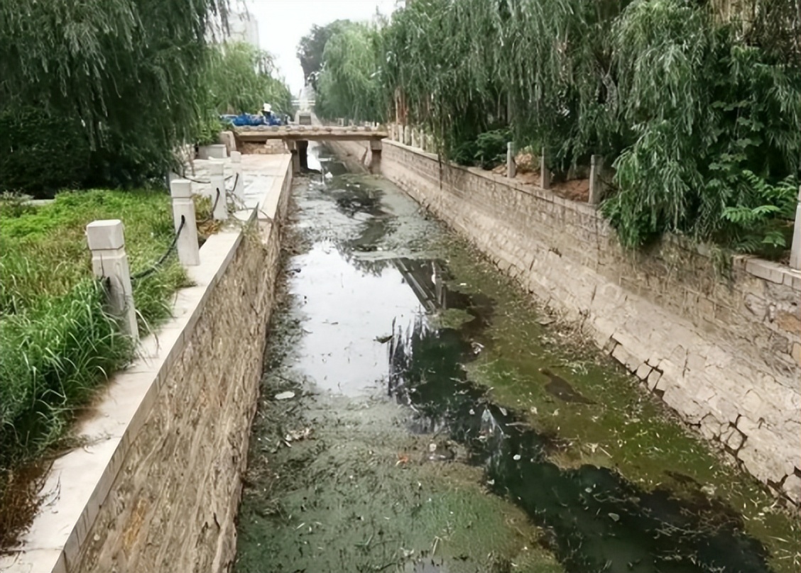 一斤鱼卖多少,一斤鱼30元买了40斤是多少钱