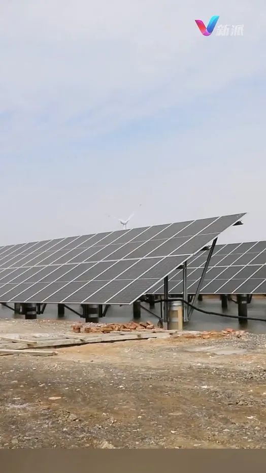 海化集团：做强主业塑优势转型升级启新程