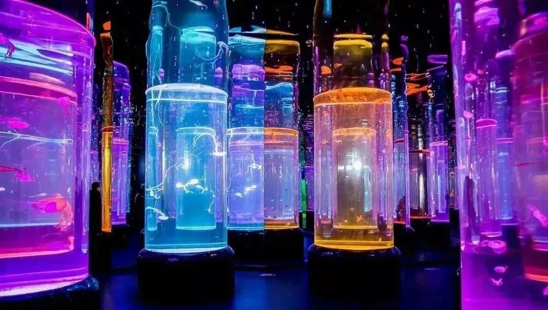 武汉海昌极地海洋公园游玩项目,武汉海昌极地海洋公园游玩时间