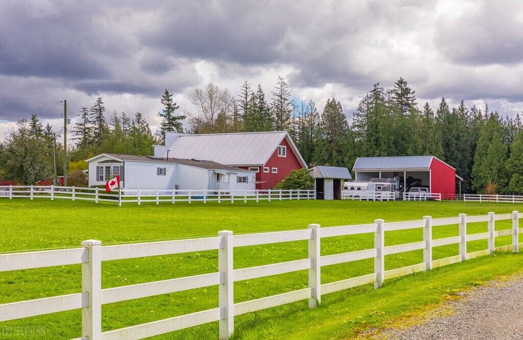 创意农业稻田,休闲农业创意农业