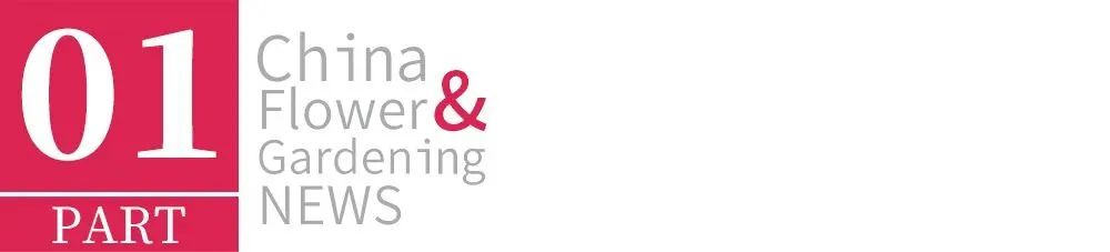 绿化养护多久一次最好,日本人绿化养护