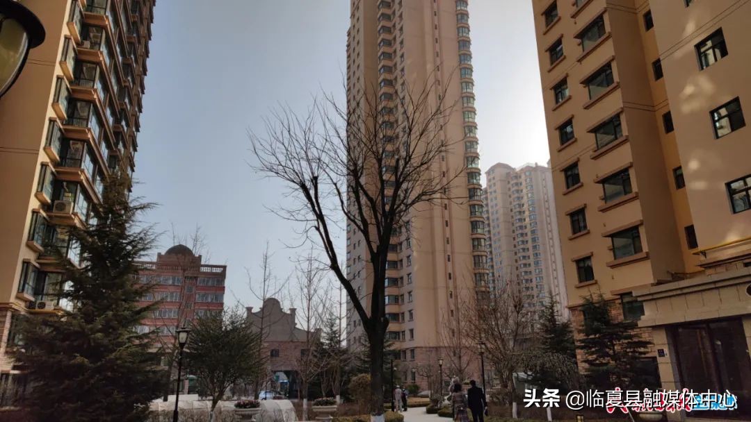 临夏市新辉物业管理有限责任公司,精细化管理优质化服务