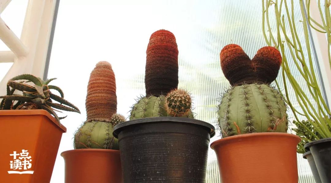 讨厌一个人最有水平的处理方式,讨厌一个人最好的解决方式