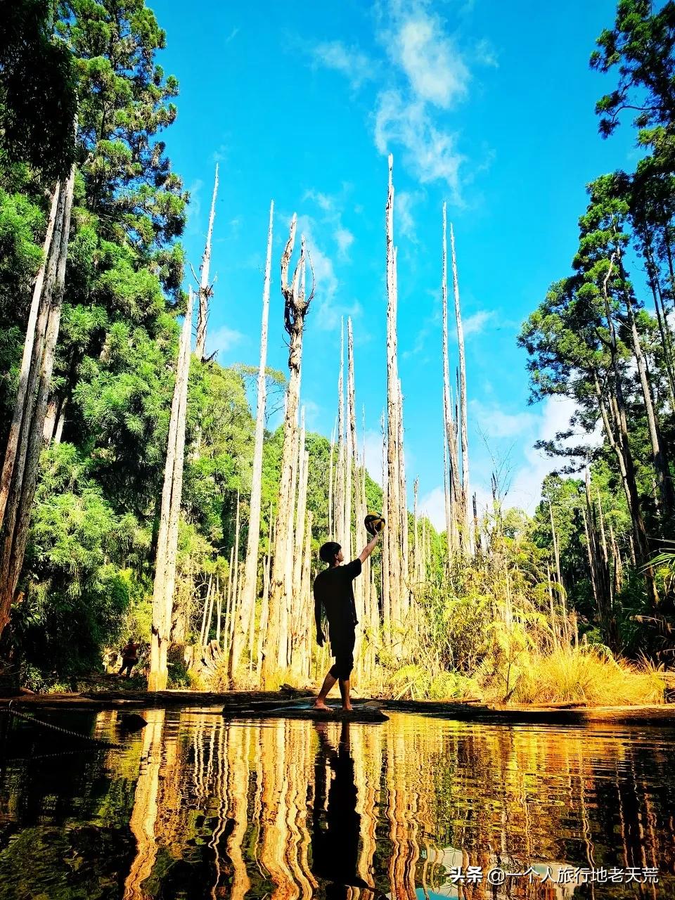 赴台旅游暂停两年后,我想带你重新认识中国台湾