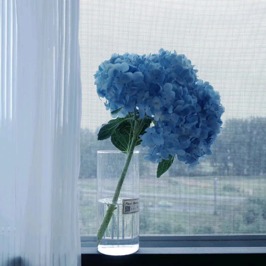 或许无疾而终的感情才值得被怀念,目前为止所有的感情都是无疾而终