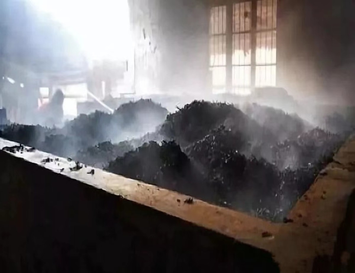 喝普洱茶相当于自杀?一口相当于闷了5亿霉菌?到底还能不能喝