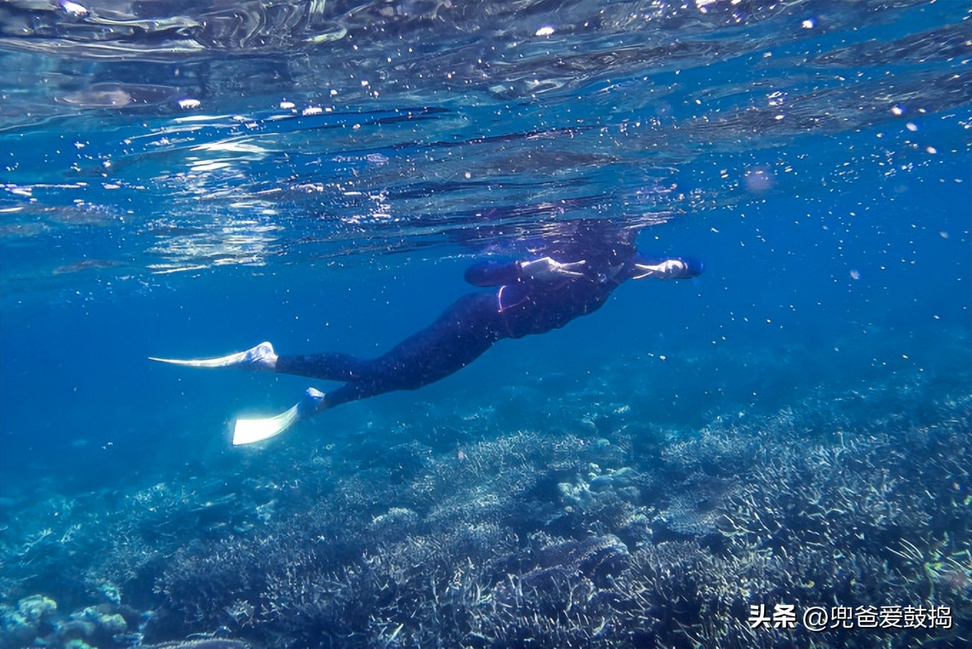 登岛旅游,仙本那和敦沙卡兰哪个好
