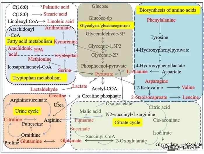 健澜科技：人工智能助力检验医学发展，AI在医疗检验领域大放异彩