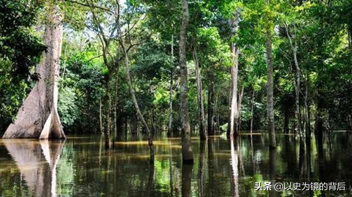 法属圭亚那和圭亚那是一个国家吗,圭亚那与法属圭亚那有什么区别