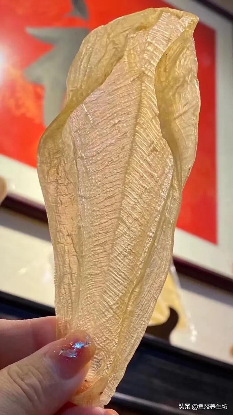 白花胶视频大全,白花胶的使用方法视频