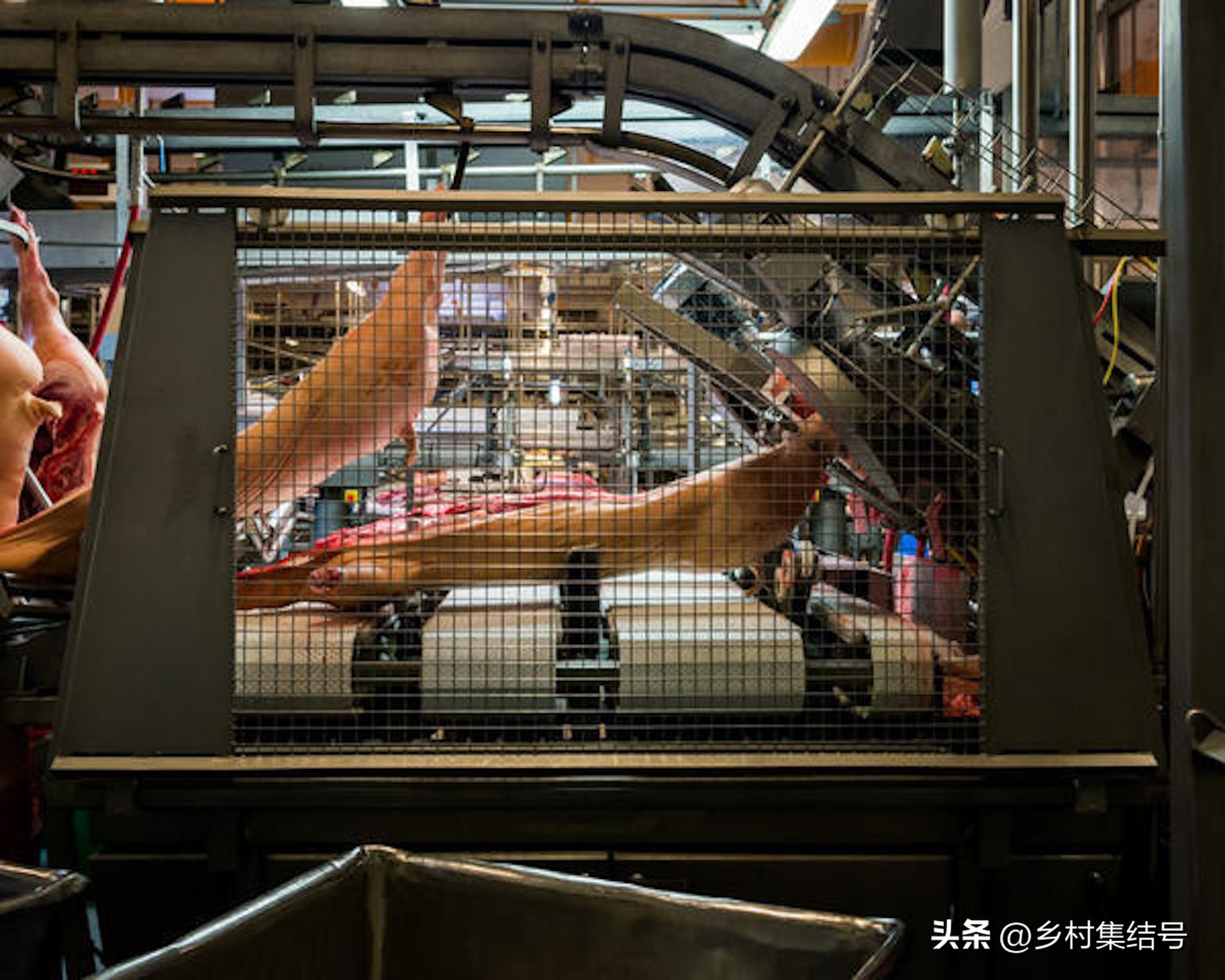 涓归害鐨囧閽荤煶鐨囧啝,涓归害鐨囧啝s绯诲垪