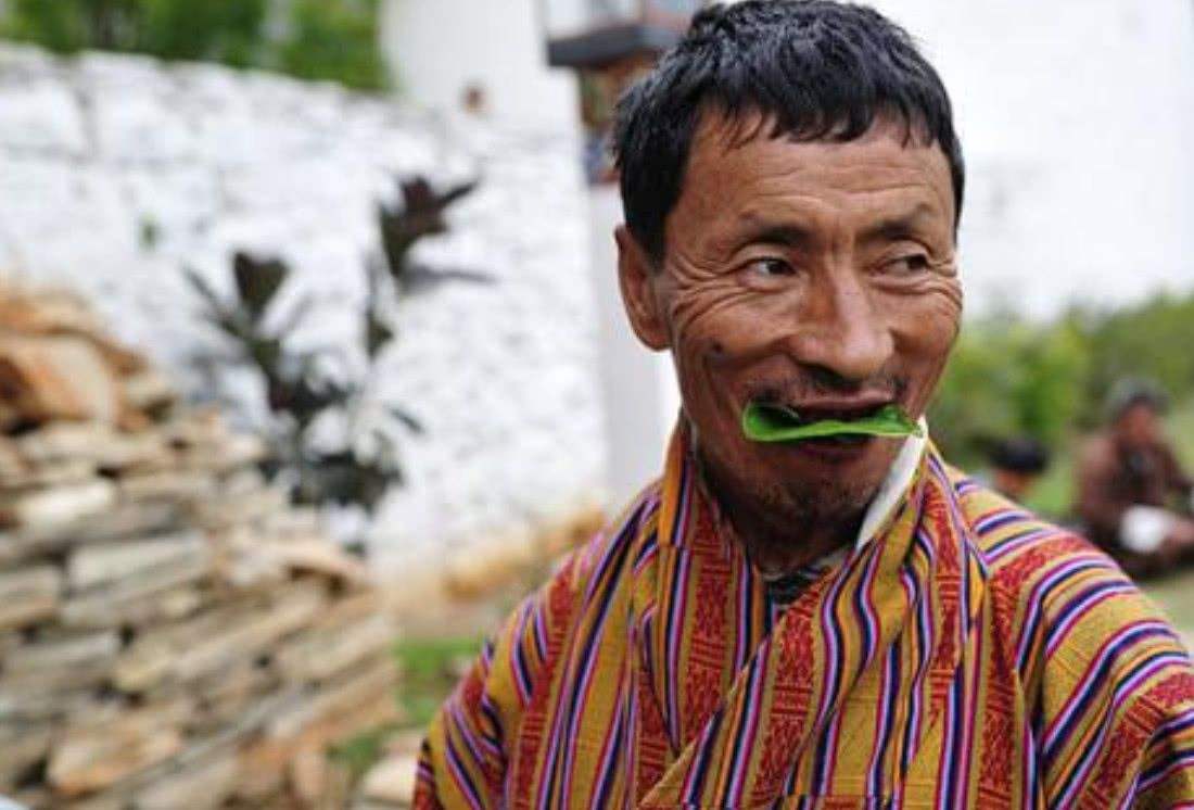 槟榔的危害科学分析,槟榔的危害有多大资料