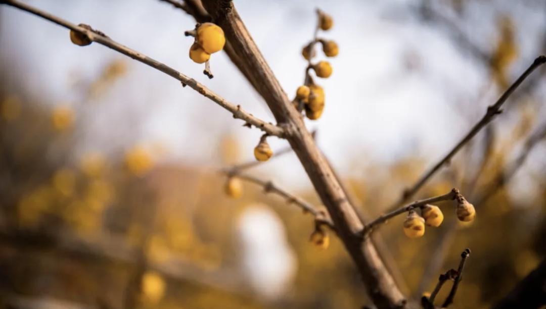 石家庄下雨哪里风景最美,石家庄冬季风景好的地方