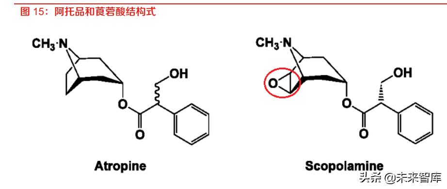 2022眼科行业研究报告,眼科医疗行业板块分析