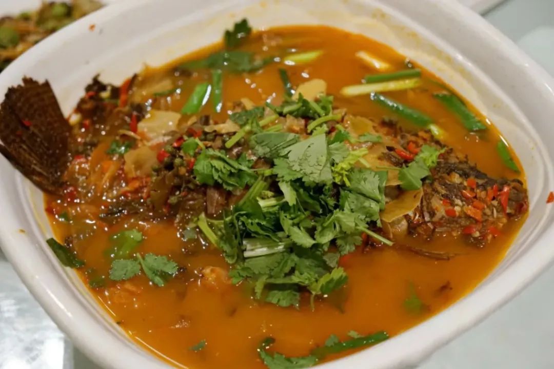 喜欢在这座江南城市里生活,非常喜欢这座自带浪漫的美丽城市