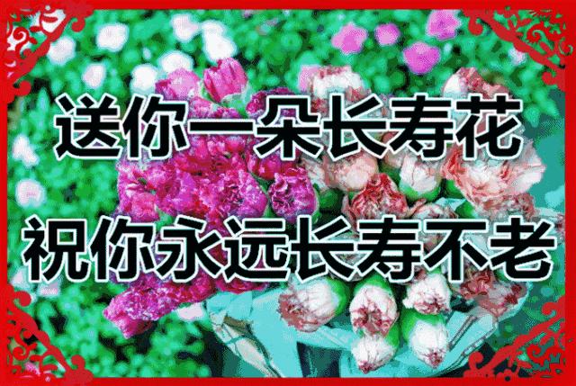 早安带字周三早上好祝福语图片,周四早上好祝福语图片最新的