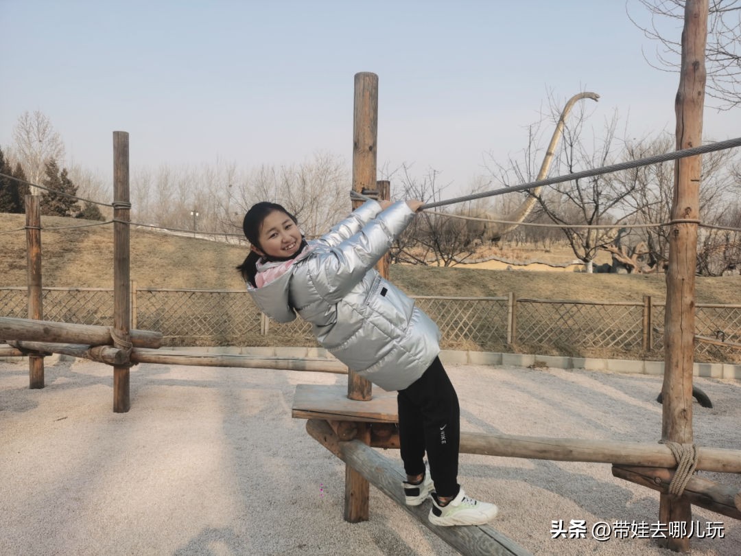 一天玩遍北京野生动物园,包场去鸟巢